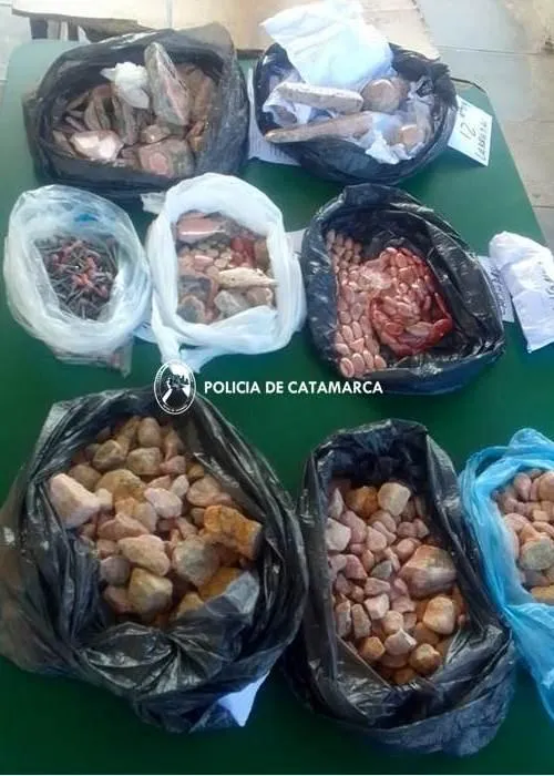 Qué es la enfermedad X que causaría una "epidemia internacional"