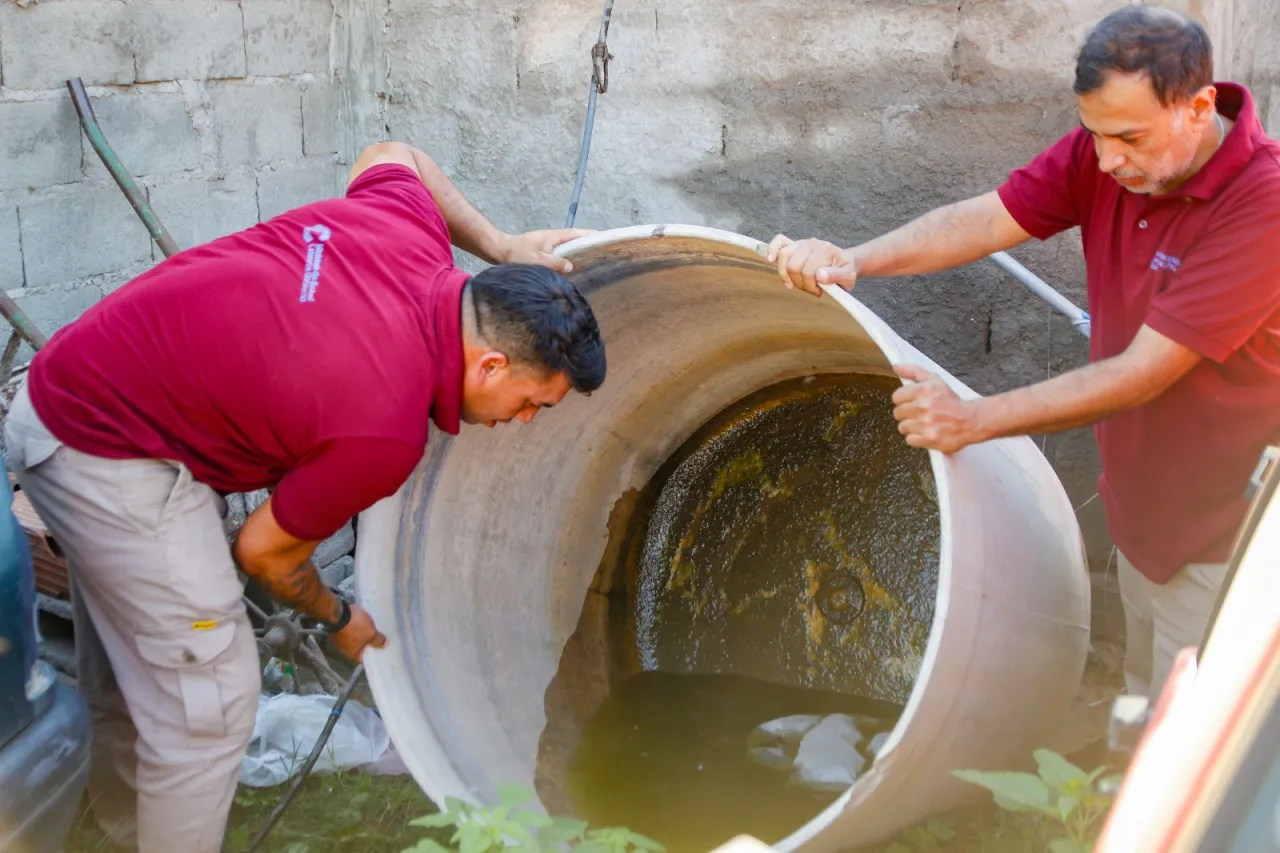 Qué hace que los tréboles de cuatro hojas sean símbolo de suerte