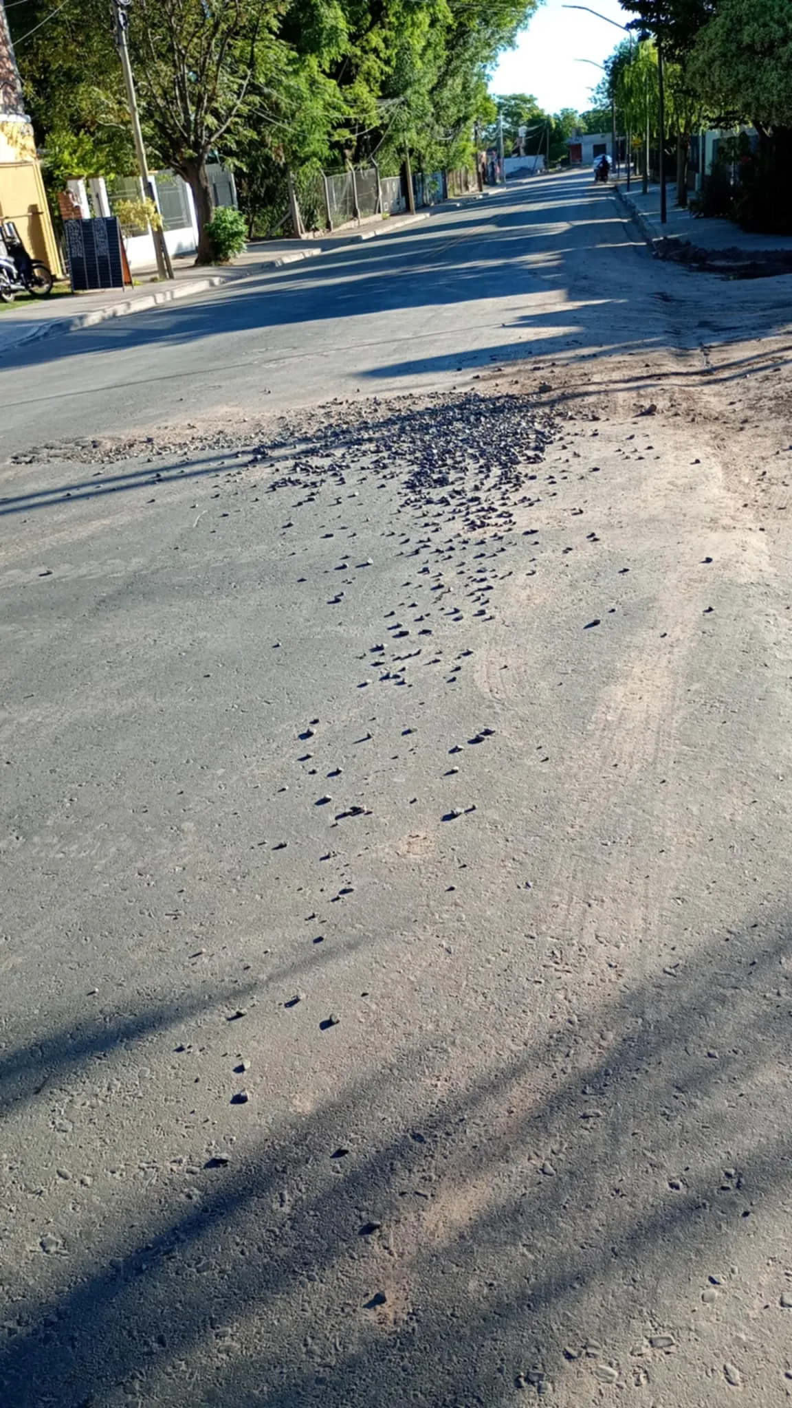 Qué raza de perro serías según tu fecha de nacimiento