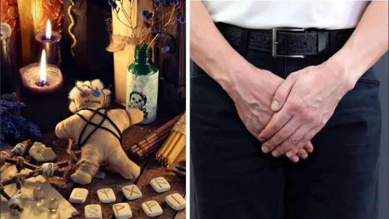 Qué significa que un gato o perro apoye la cabeza en la pared y por qué hay que llevarlo urgente al veterinario