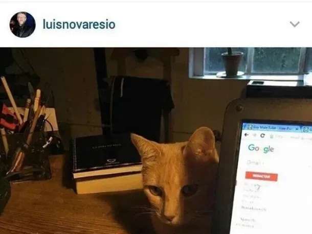 ¿Qué son los estereotipos de género?