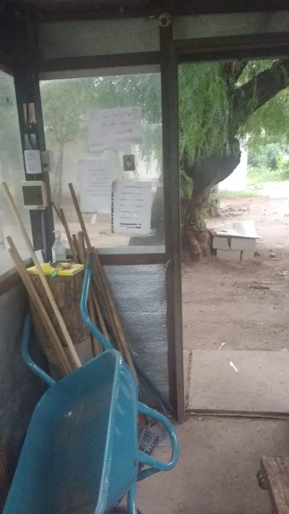 Qué uso se le puede dar a las cáscaras de naranja antes de tirarlas