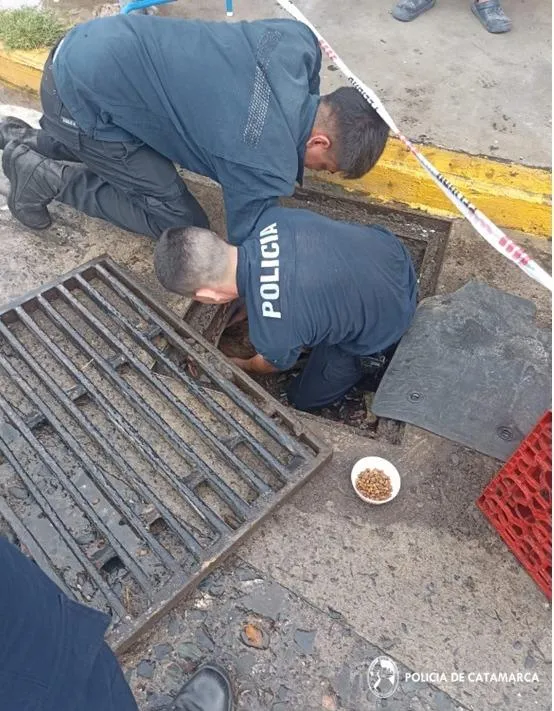 Quería ingresar al club con una cuchilla para atacar a un masculino