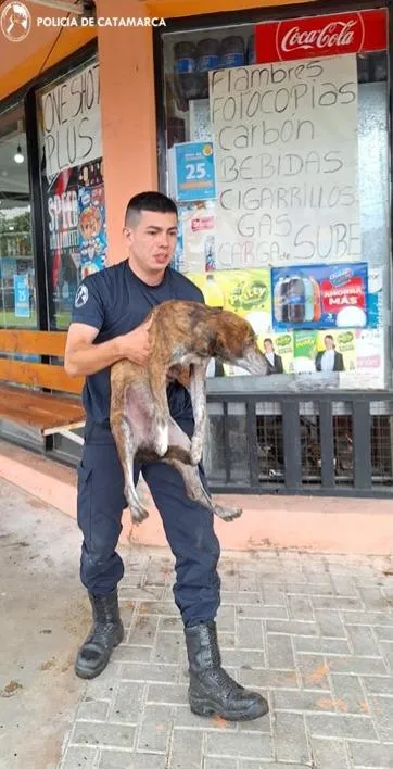 Quería ingresar al club con una cuchilla para atacar a un masculino
