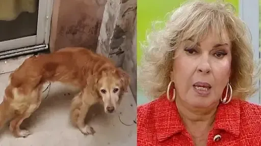 Quién es "Fito" Macías, el narcocriminal prófugo que desató el caos en Ecuador