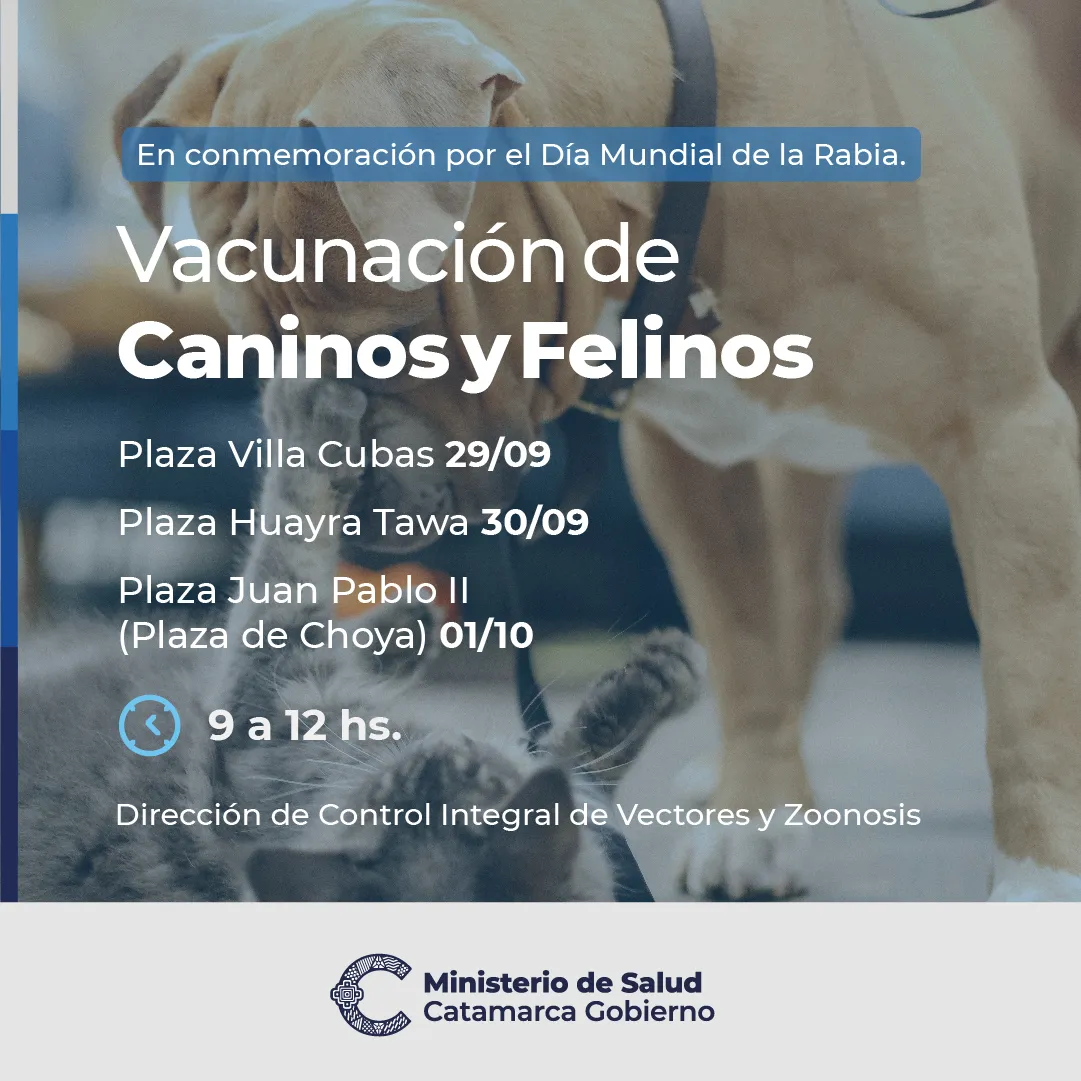 Quién es y qué hace Dyhzy, el hijo de Alberto Fernández