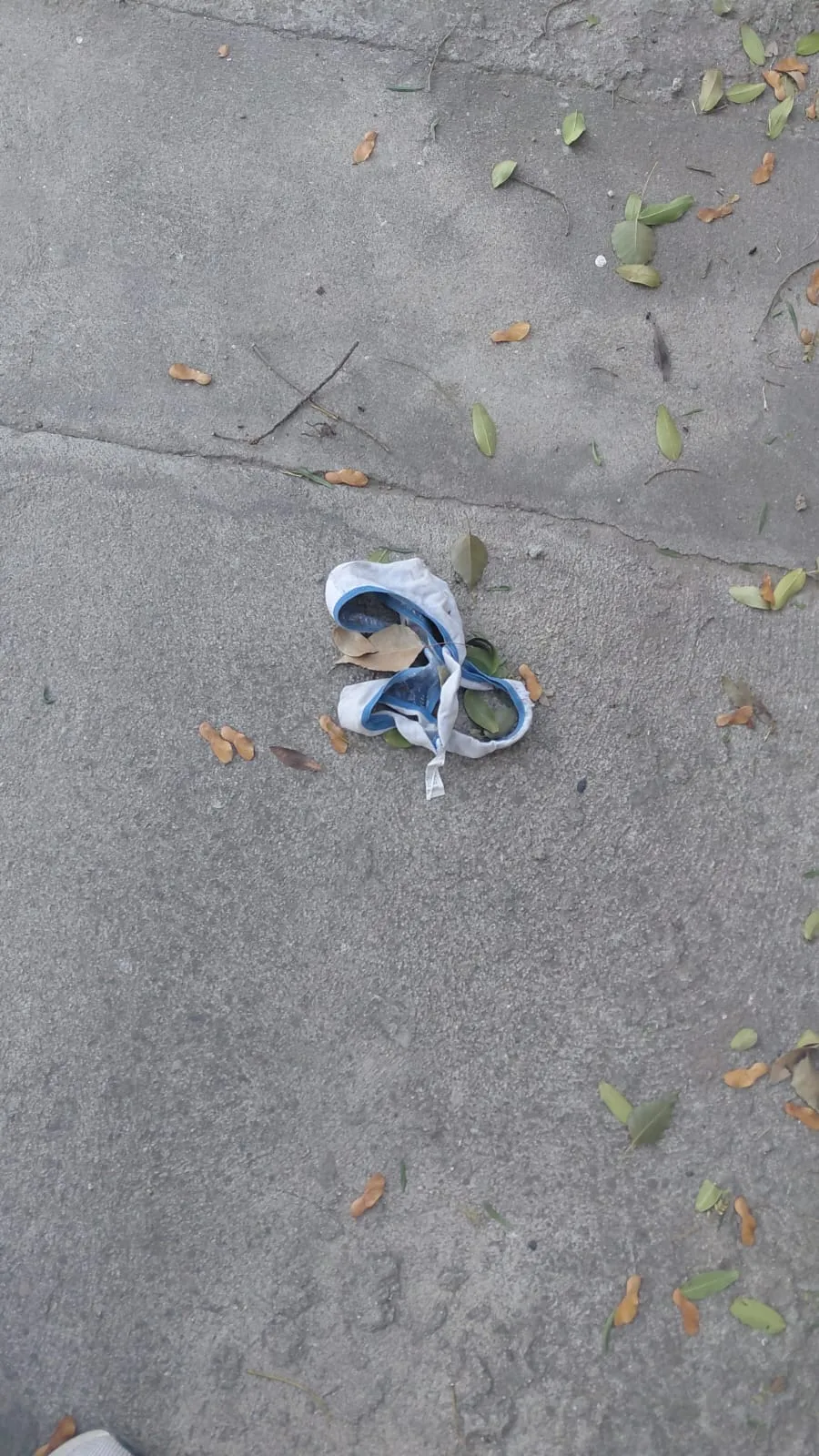 ¿Quién se la olvidó?