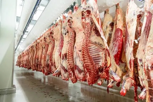 Quiénes cobran este Lunes 31 de Agosto