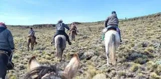 Reabren el Camarín de la Virgen sólo para el paso de peregrinos