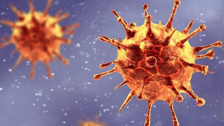 Reinfección: especialistas dicen que es posible, pero improbable