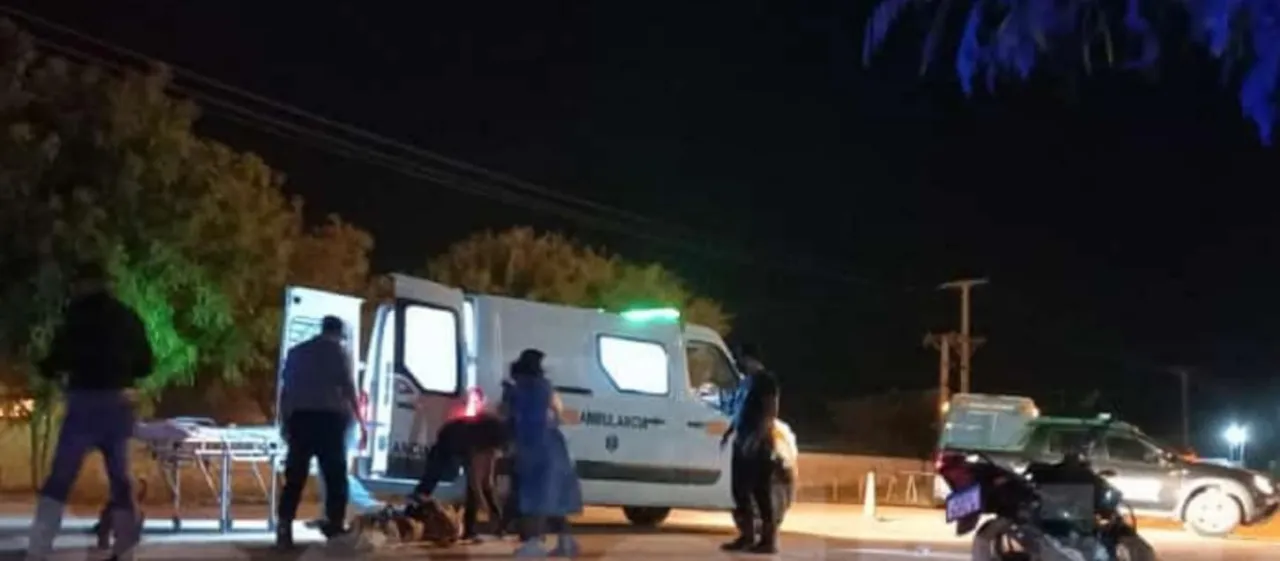 Reporte diario: información oficial sobre COVID-19