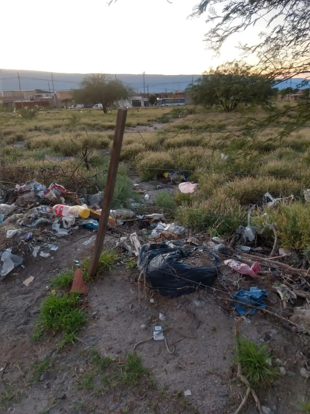 Rescatan a un cachorro que se ahogaba en el dique El Jumeal