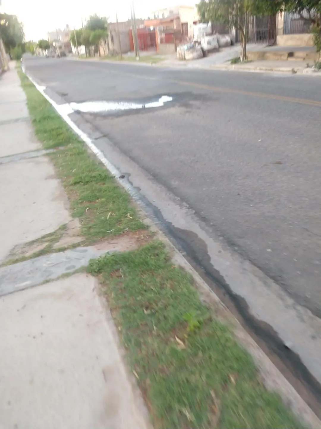 Rescatan a un cachorro que se ahogaba en el dique El Jumeal