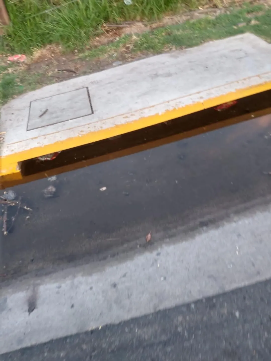 Rescatan a un cachorro que se ahogaba en el dique El Jumeal