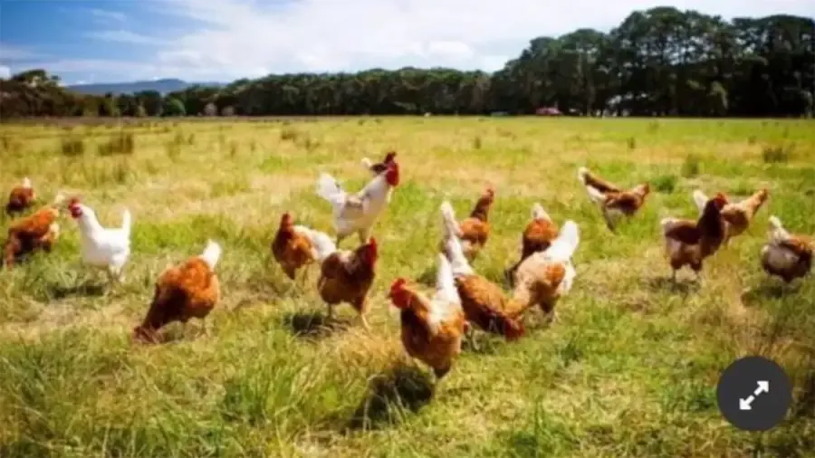 Reunión con fondos de inversión de Emiratos Árabes por el proyecto del Corredor Bioceánico
