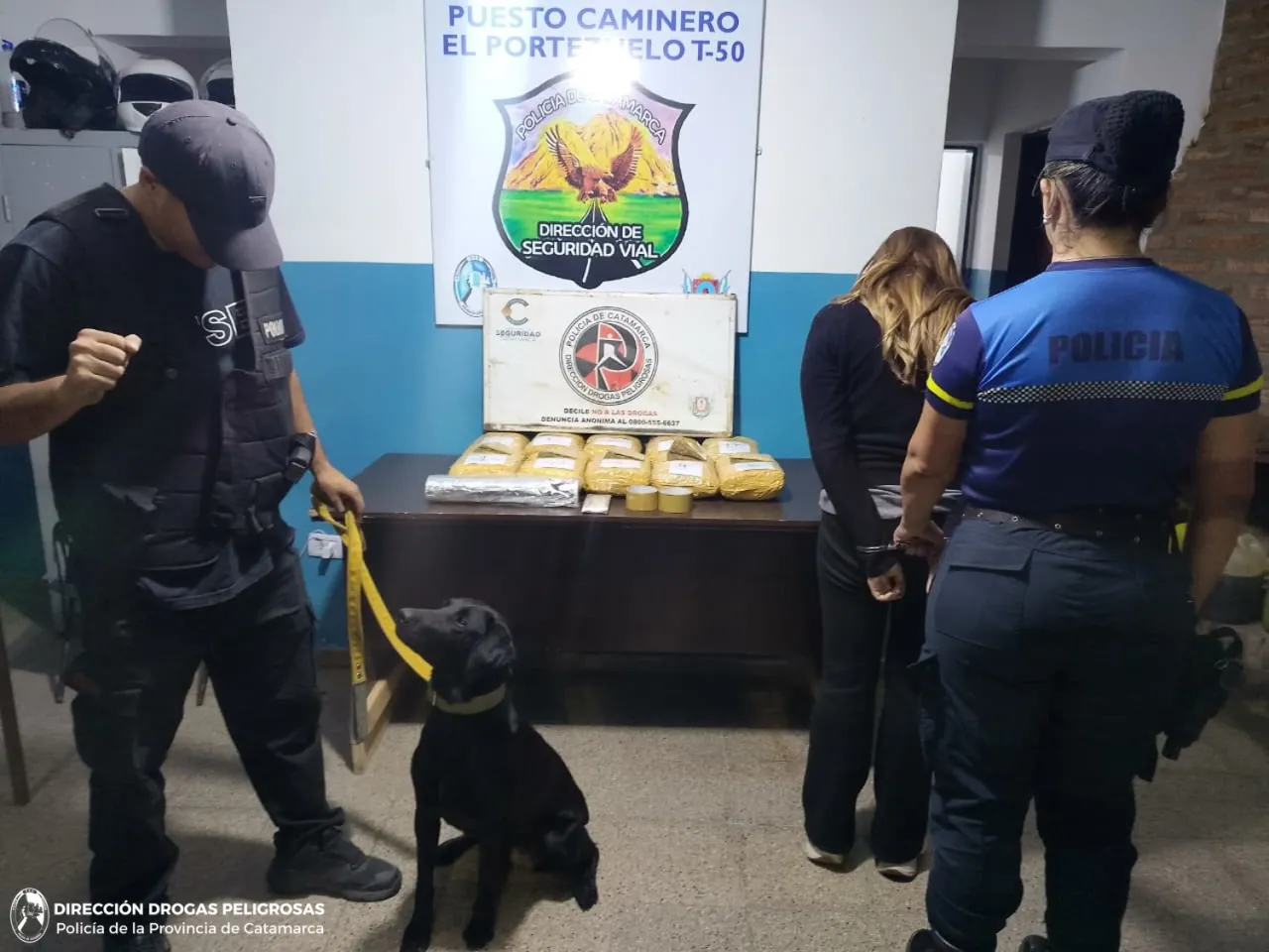 Revelaron cuánto cobraría por semana Danelik en Gran Hermano