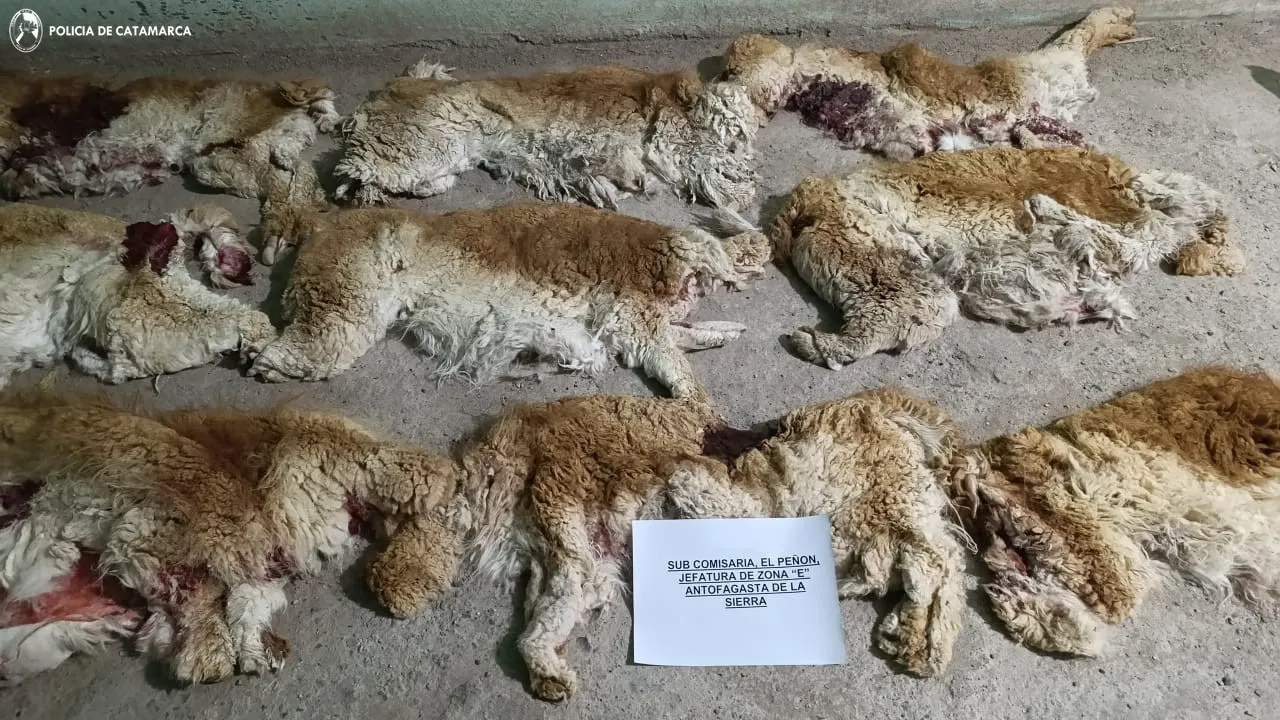 Revelaron los estremecedores detalles de la autopsia al cuerpo de la nena abusada y asesinada en Misiones