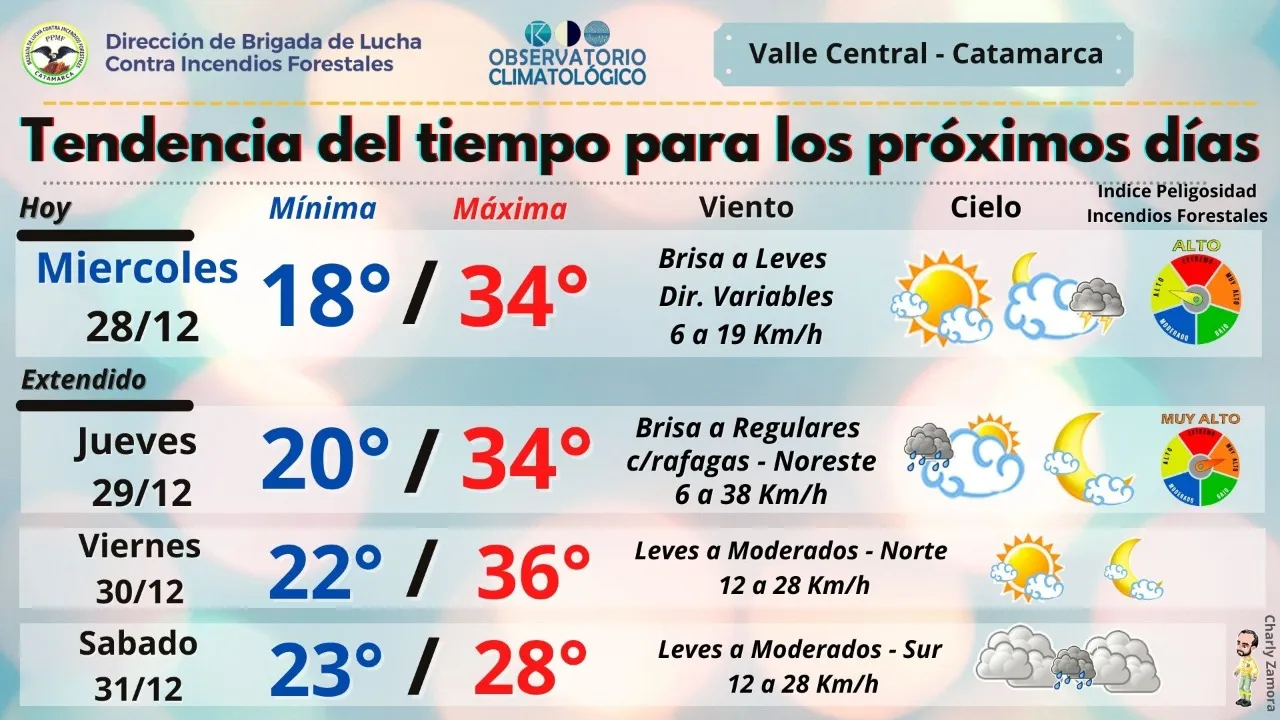 Ricky Martin vuelve a la Argentina: cuándo y cómo será la gira