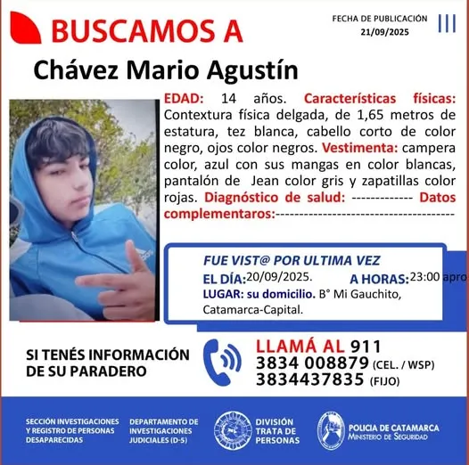 Robó dos gansos de los Lagos de Palermo y los llevó a nadar a la pileta de su casa