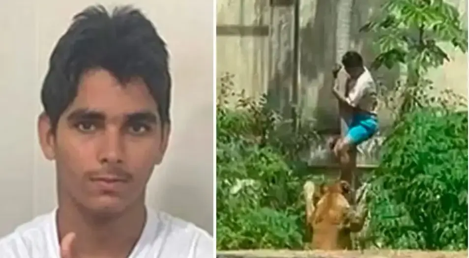 Rumbo a la Virgen del Valle: una joven de Canadá y cientos de santiagueños caminan unidos por la esperanza