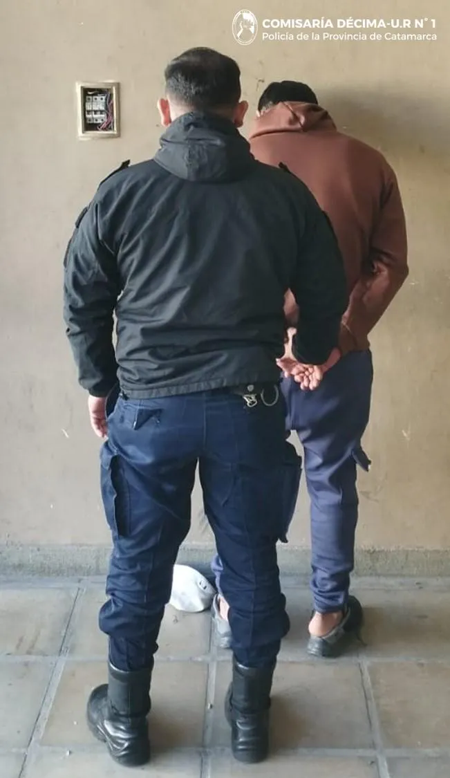 Salta: "prisión domiciliaria" para una perra que mató a cinco mascotas