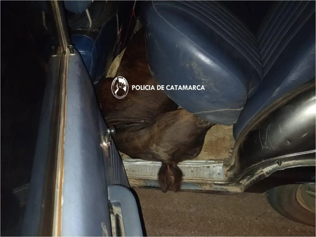 Se casan María Eugenia Vidal y Quique Sacco