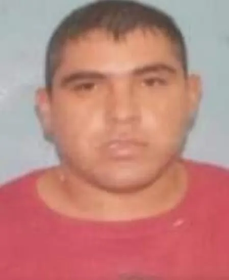 Se comió un pulpo vivo, pero no tuvo en cuenta un detalle y terminó muerto