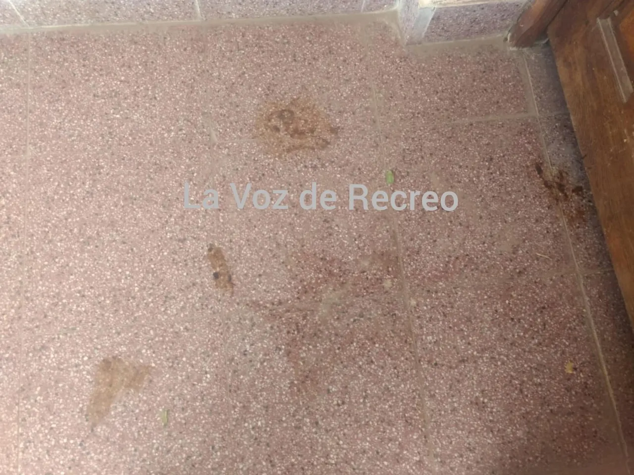 Se enamoró de su yerno, fueron amantes y después escaparon juntos