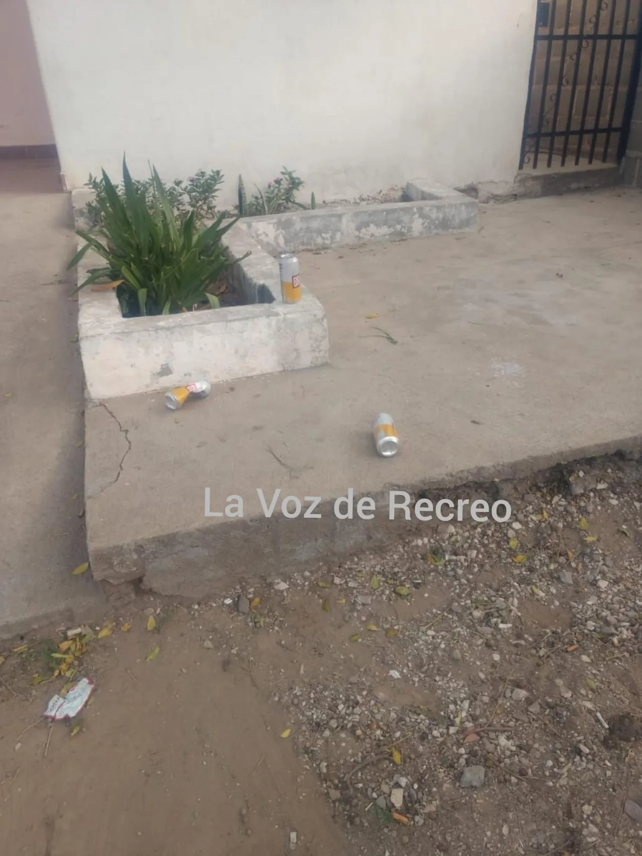 Se enamoró de su yerno, fueron amantes y después escaparon juntos