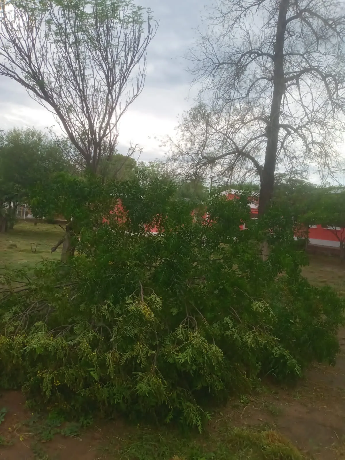 Se filtró qué habría adentro de la valija que llevó Alfa a GH y las redes estallaron: “¿Es joda?”