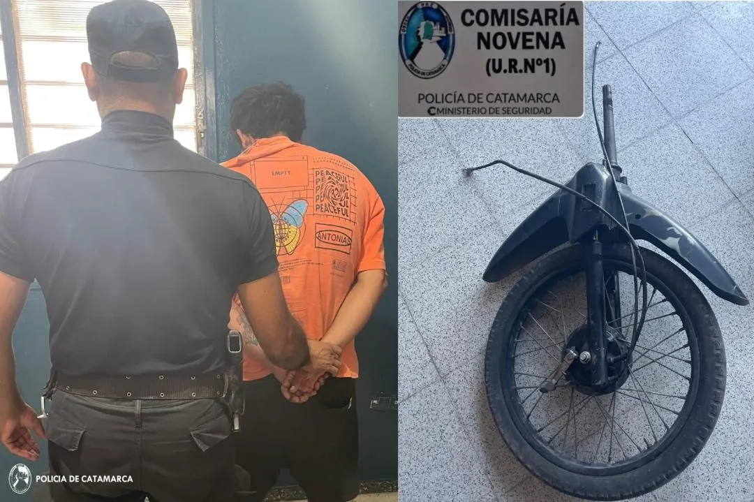 Se fueron de vacaciones a Brasil y un grupo de monos los sorprendió en la ventana del hotel