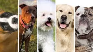Se hizo millonario por error y gastó toda su fortuna en strippers, alcohol y cocaína