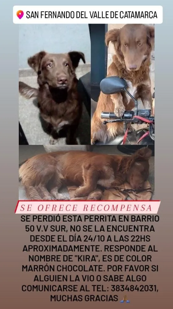 Se viene el frío en pleno noviembre