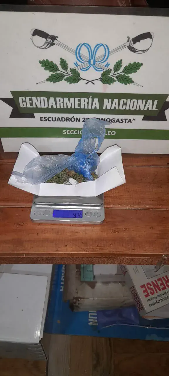 Secuestran estupefacientes, municiones y un arma como resultado de controles