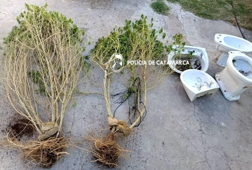 Secuestran mercadería