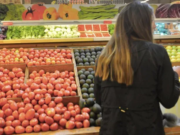 Secuestraron 18 kilos de coca en colectivo de larga distancia