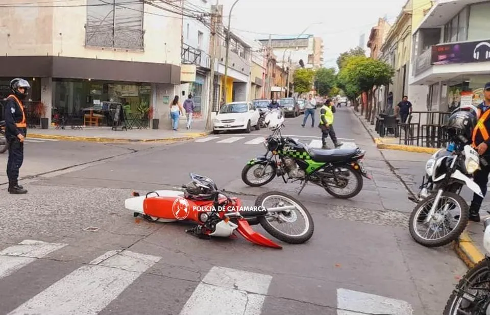 Secuestraron más de 115 kilos de hojas de coca como resultado de múltiples controles