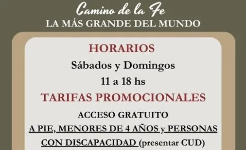 Si vivís cansado, revitalizate con estos alimentos energizantes