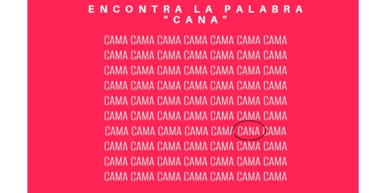 "Siempre vienen con promesas pero al final todo queda en la nada"