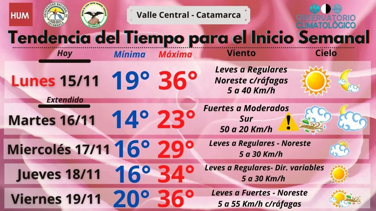 Sin energía: Cayeron tres postes del tendido y un transformador