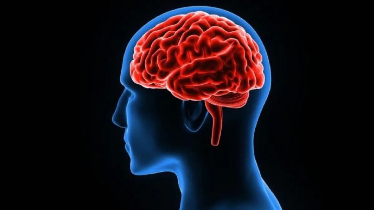 Sin fallas: esta es la manera correcta de limpiar tus anteojos