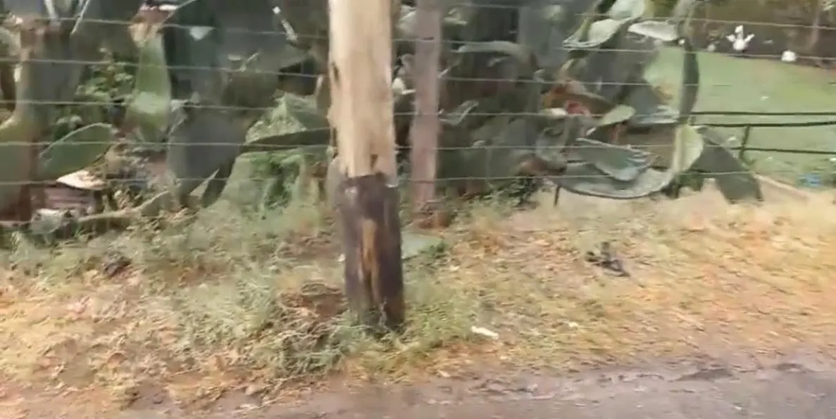 Siniestro vial en Fray Mamerto Esquiú