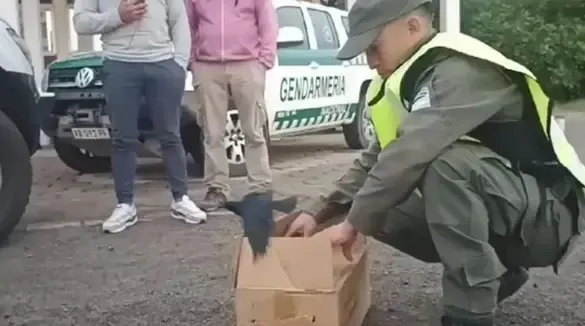 Siniestro vial en la ruta provincial N°1 a la altura de un alojamiento