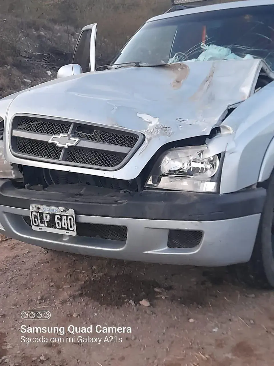 Siniestro vial por animales sueltos