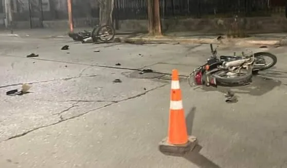 Siniestro vial por animales sueltos