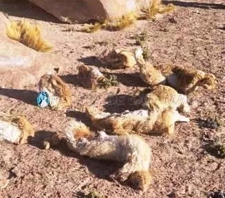 Sismo de 2.9° sacudió a los Catamarqueños