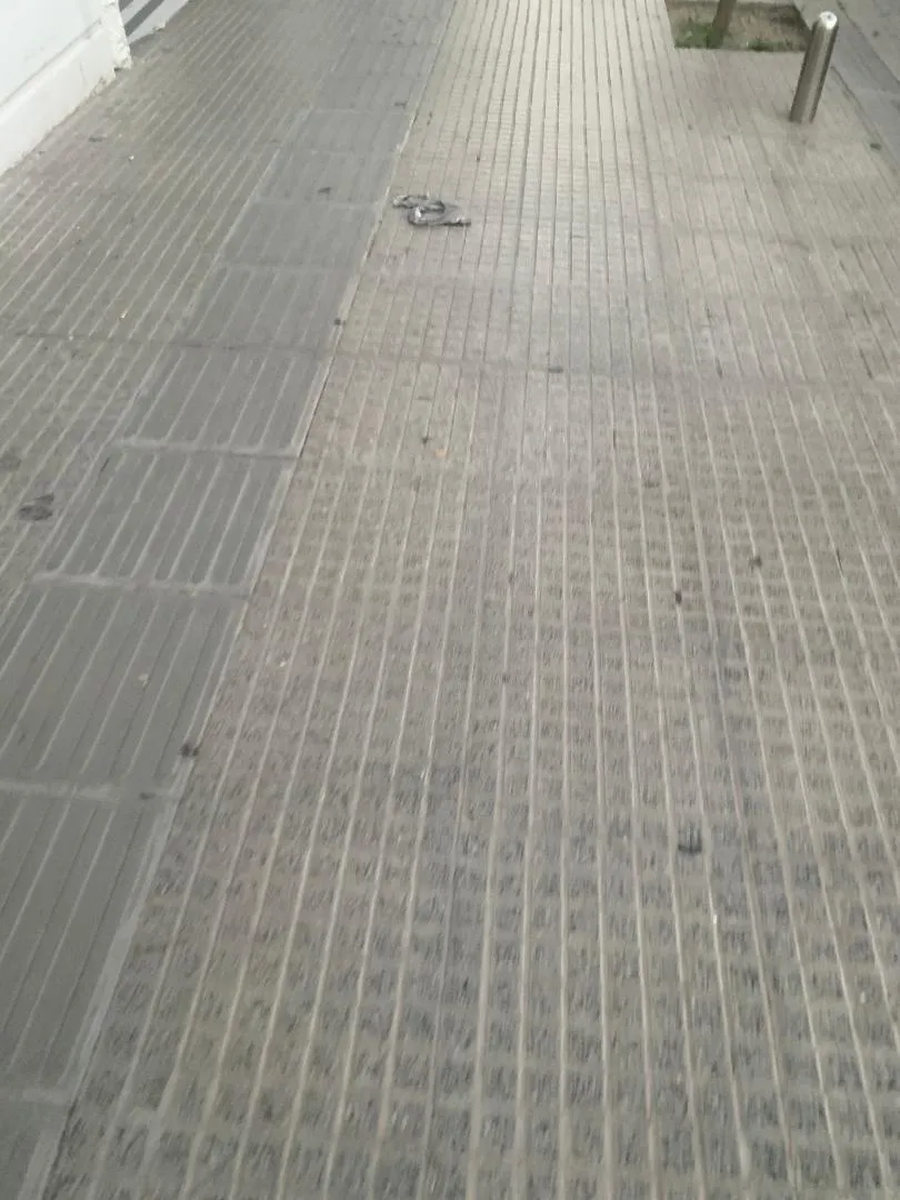 Solicitan difundir la foto de Sofía Herrera a 16 años de su desaparición