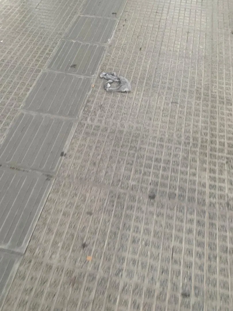 Solicitan difundir la foto de Sofía Herrera a 16 años de su desaparición