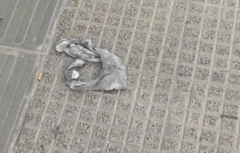 Solicitan difundir la foto de Sofía Herrera a 16 años de su desaparición