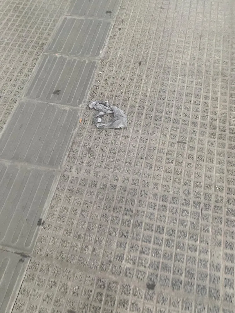 Solicitan difundir la foto de Sofía Herrera a 16 años de su desaparición